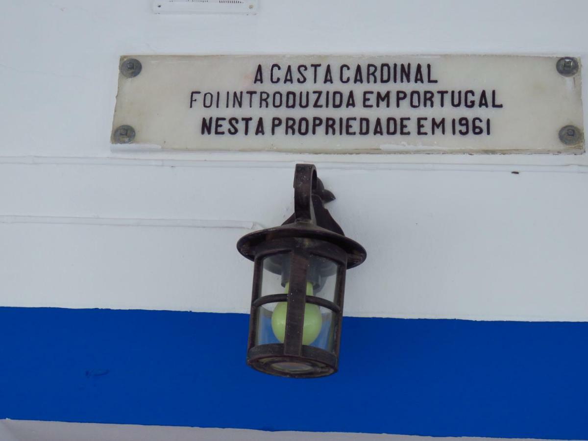 Vale Do Boto-Quinta Com 3 Casas Βίλα Castro Marim Εξωτερικό φωτογραφία